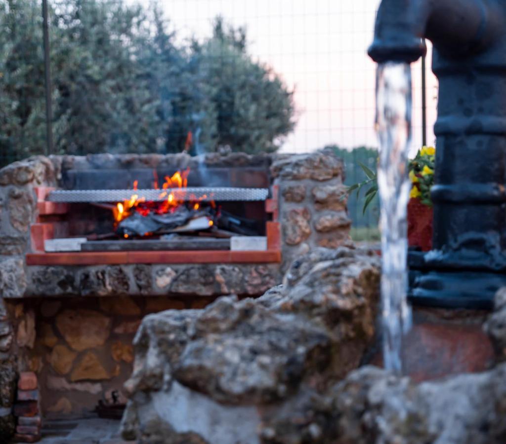 Le Rose Bed & Breakfast Nettuno Exterior foto