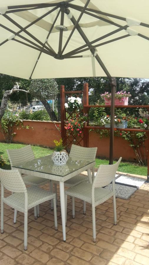 Le Rose Bed & Breakfast Nettuno Exterior foto