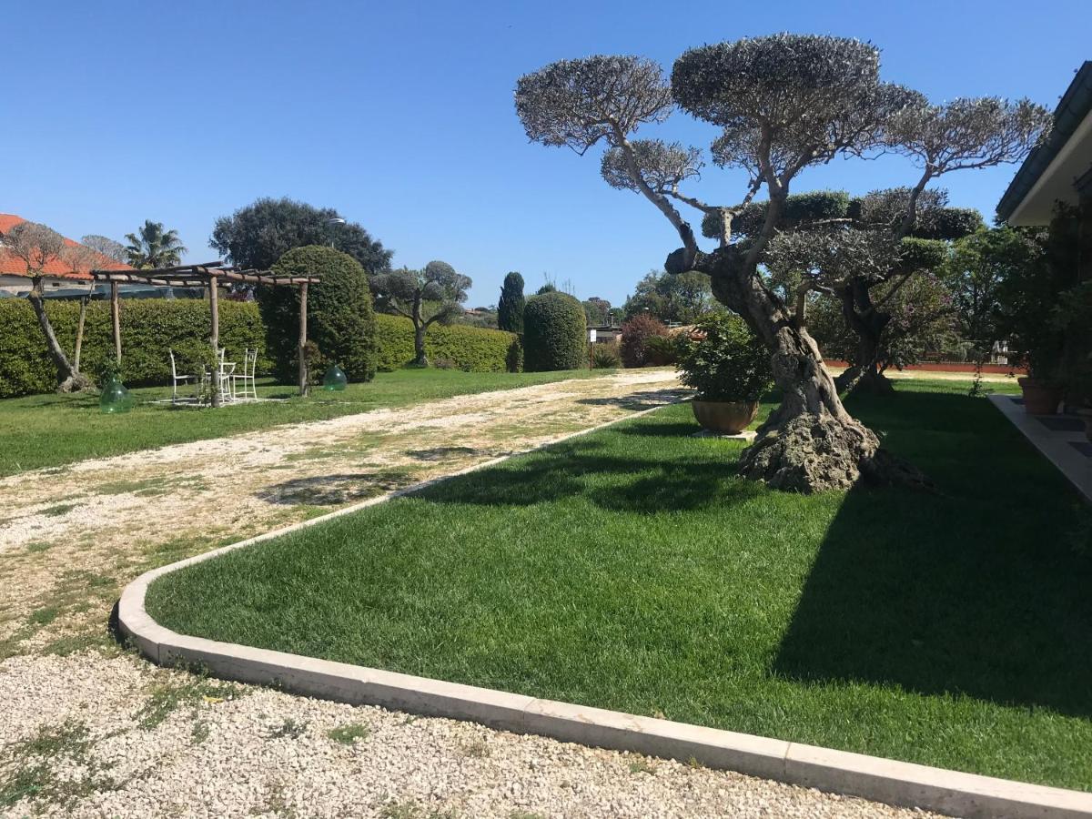 Le Rose Bed & Breakfast Nettuno Exterior foto