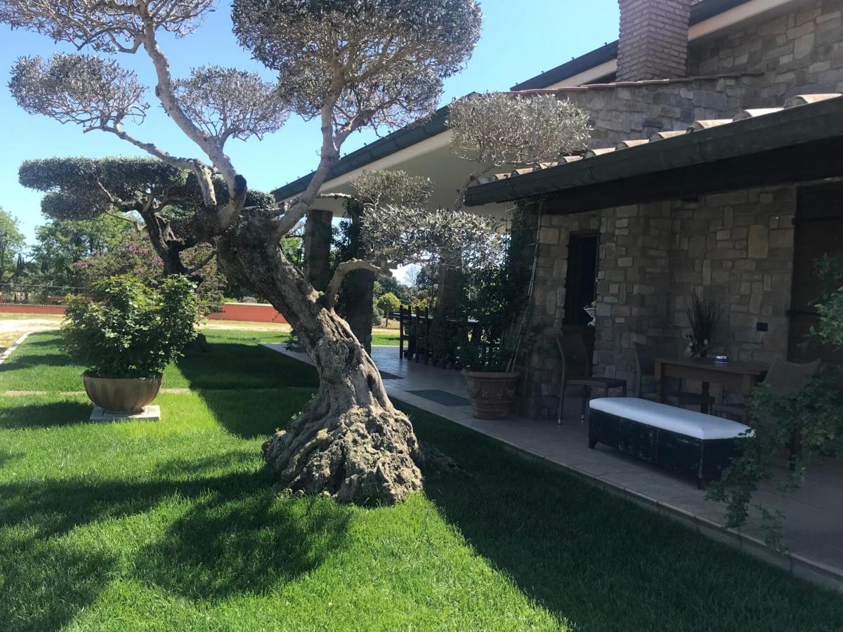 Le Rose Bed & Breakfast Nettuno Exterior foto